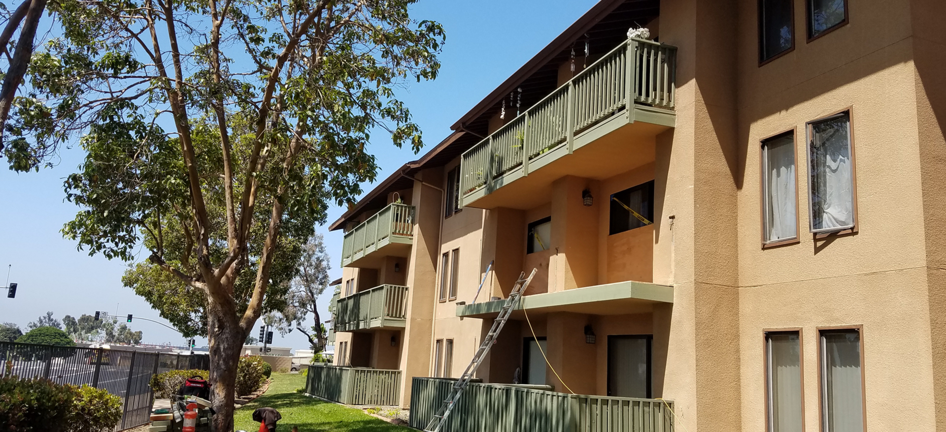 Apartment building with balconies and tree